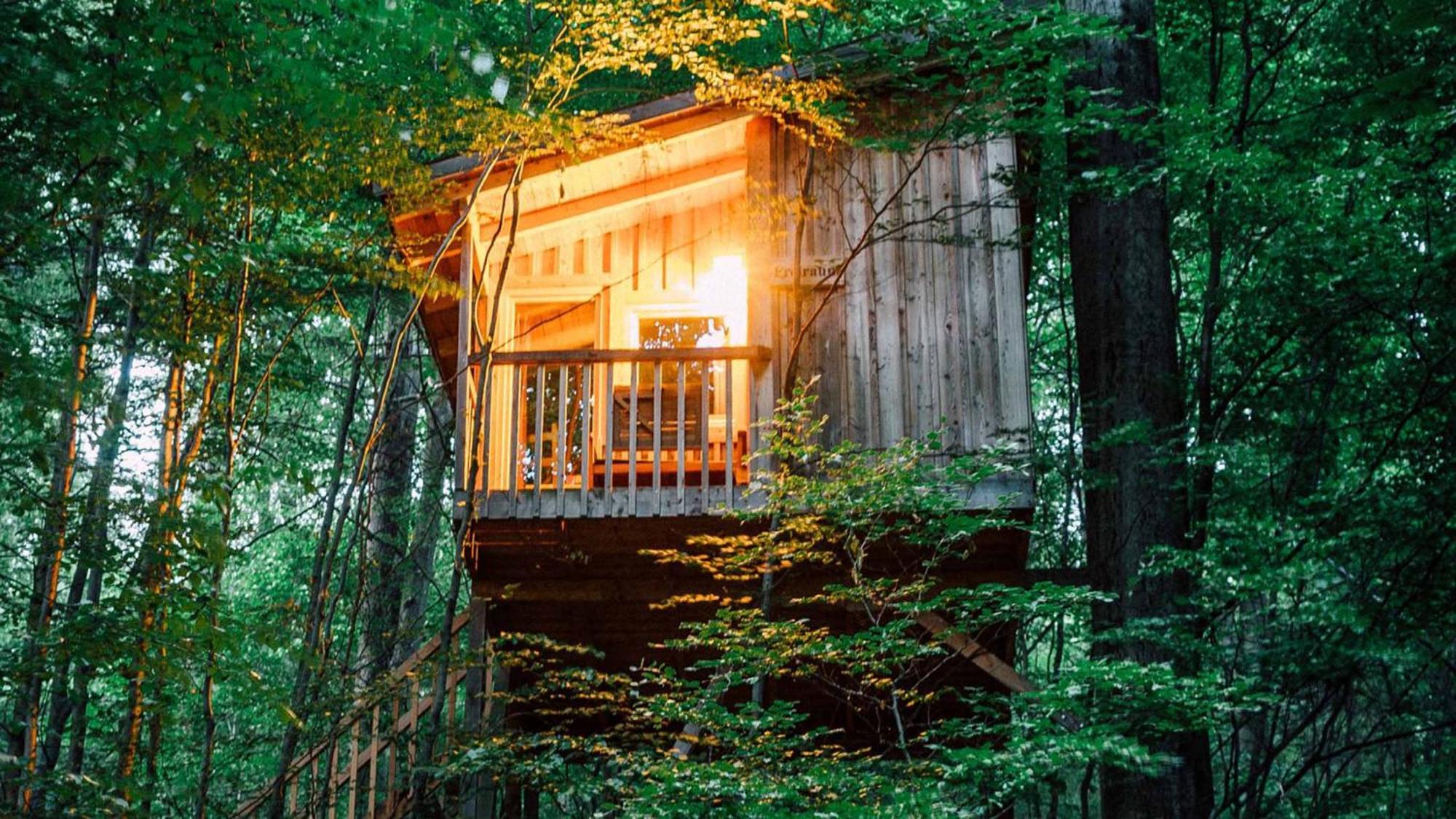Baumhaushotel Solling ウスラー エクステリア 写真